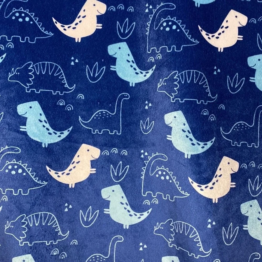 Manhattan‎ Kids Dinosaur Baby Blanket Throw Plush Sherpa Backing Pet Blue White